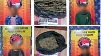 Miliki Ganja, 3 Warga Gunung Agung Dan 1 Warga Tanjung Sakti Di Ringkus