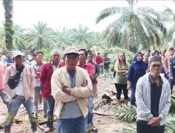 Konflik Lahan Memanas: Warga Desa Sungai Sodong Tolak Replanting PT SWA, Dugaan Penembakan Dibantah